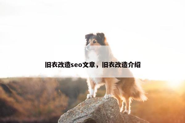 旧衣改造seo文章，旧衣改造介绍