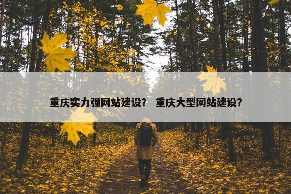 重庆实力强网站建设？ 重庆大型网站建设？