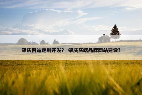 肇庆网站定制开发？ 肇庆高端品牌网站建设？