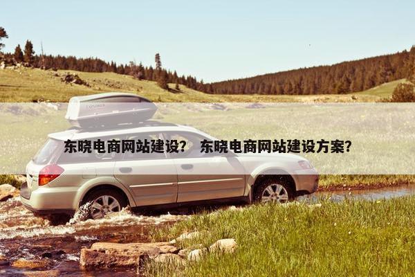 东晓电商网站建设？ 东晓电商网站建设方案？