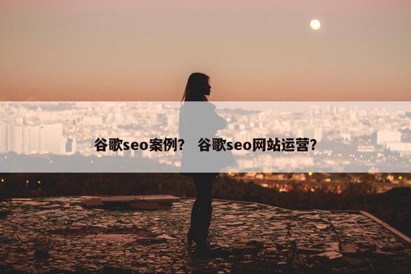谷歌seo案例？ 谷歌seo网站运营？