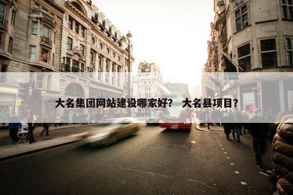 大名集团网站建设哪家好？ 大名县项目？