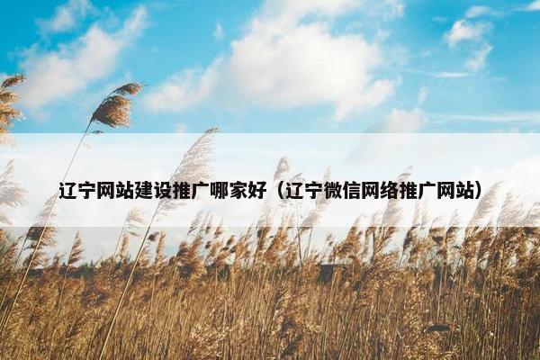 辽宁网站建设推广哪家好（辽宁微信网络推广网站）