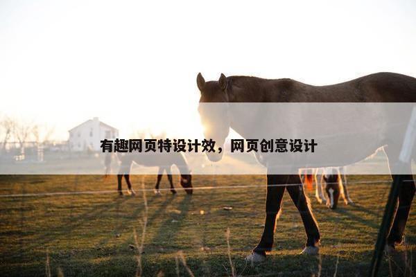 有趣网页特设计效，网页创意设计