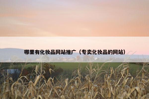 哪里有化妆品网站推广（专卖化妆品的网站）