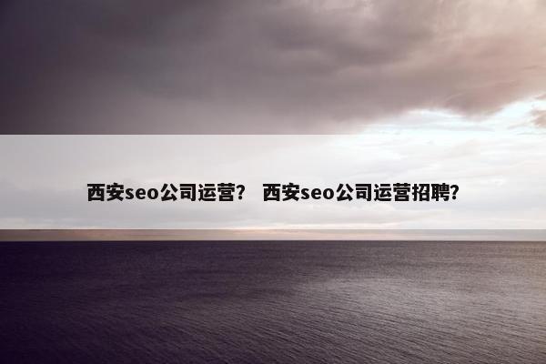 西安seo公司运营？ 西安seo公司运营招聘？