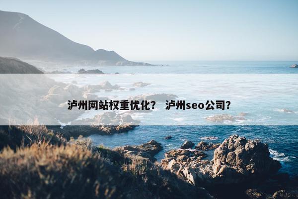 泸州网站权重优化？ 泸州seo公司？