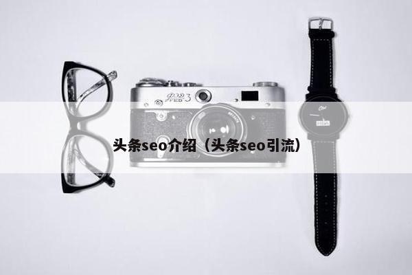 头条seo介绍（头条seo引流）