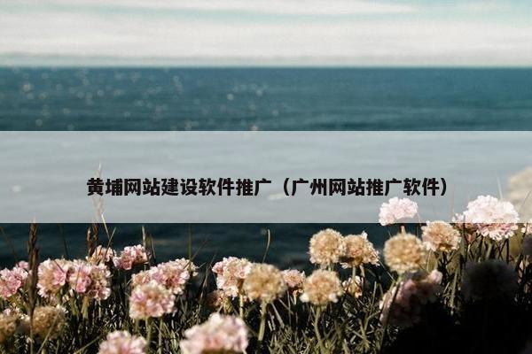 黄埔网站建设软件推广（广州网站推广软件）