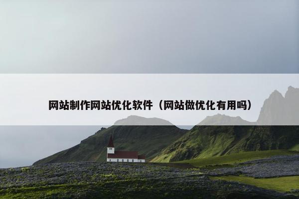网站制作网站优化软件（网站做优化有用吗）