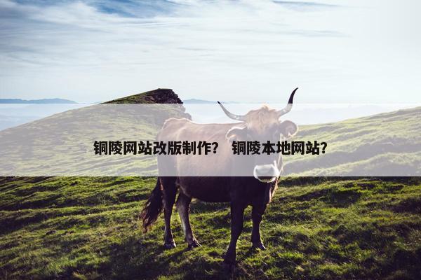 铜陵网站改版制作？ 铜陵本地网站？