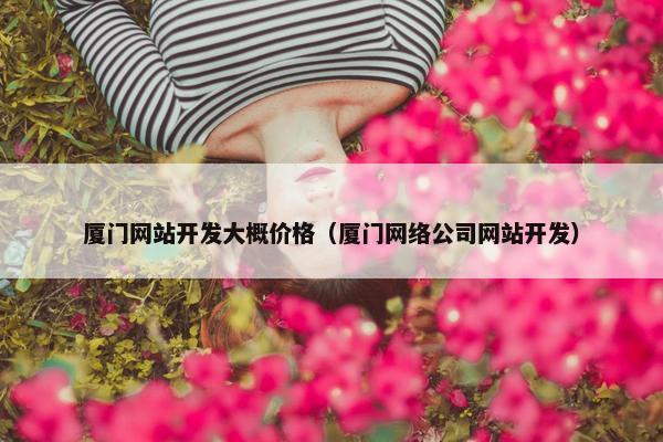 厦门网站开发大概价格（厦门网络公司网站开发）