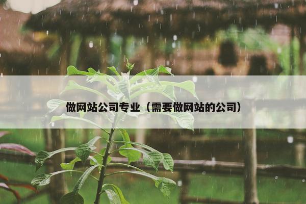 做网站公司专业（需要做网站的公司）