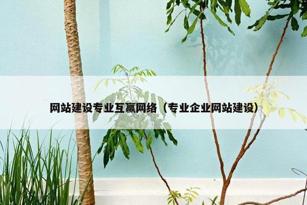 网站建设专业互赢网络（专业企业网站建设）