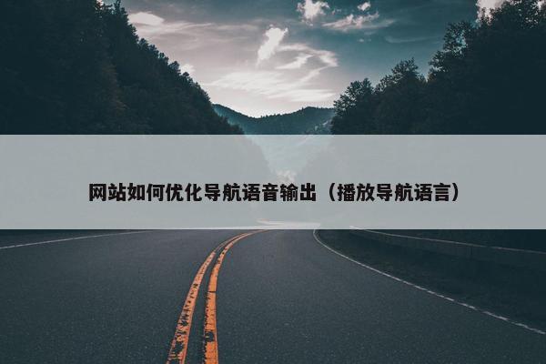 网站如何优化导航语音输出（播放导航语言）
