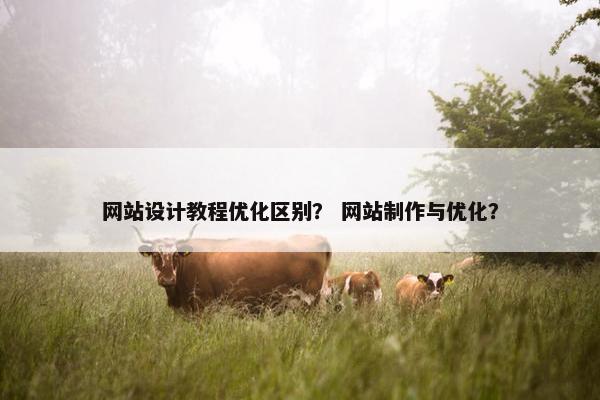 网站设计教程优化区别？ 网站制作与优化？