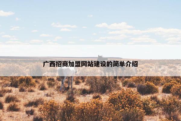 广西招商加盟网站建设的简单介绍