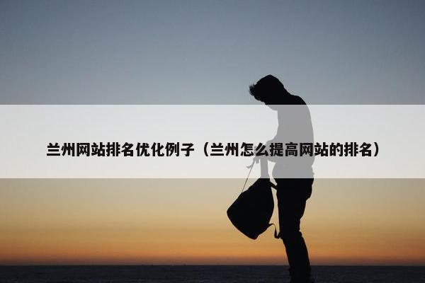 兰州网站排名优化例子（兰州怎么提高网站的排名）