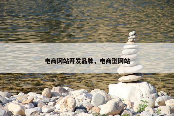 电商网站开发品牌，电商型网站
