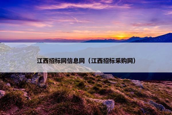 江西招标网信息网（江西招标采购网）