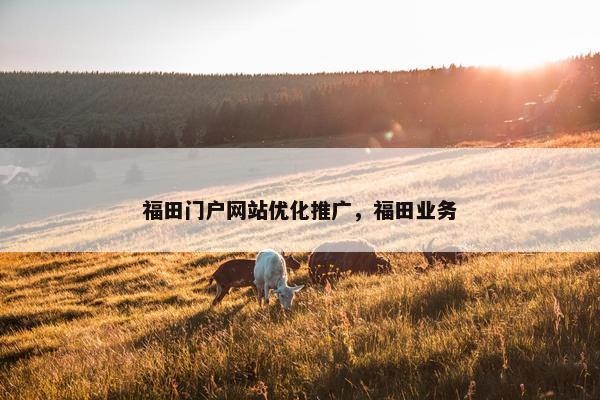福田门户网站优化推广，福田业务