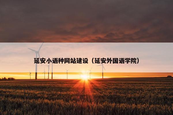 延安小语种网站建设（延安外国语学院）