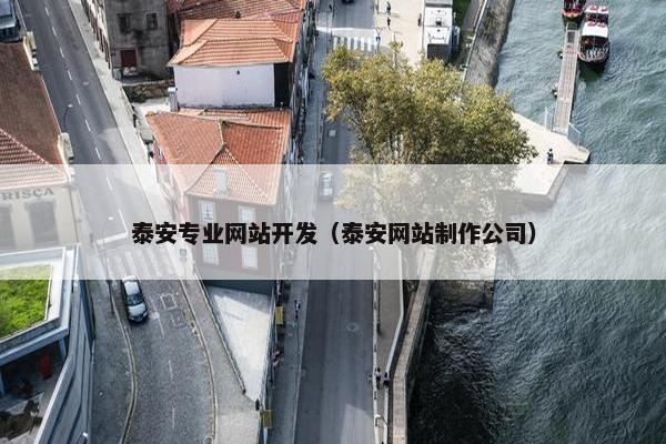 泰安专业网站开发（泰安网站制作公司）