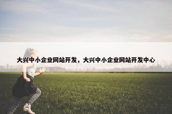 大兴中小企业网站开发，大兴中小企业网站开发中心