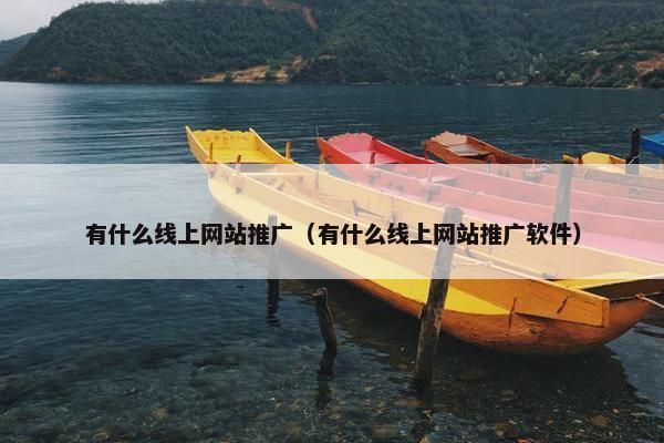 有什么线上网站推广（有什么线上网站推广软件）