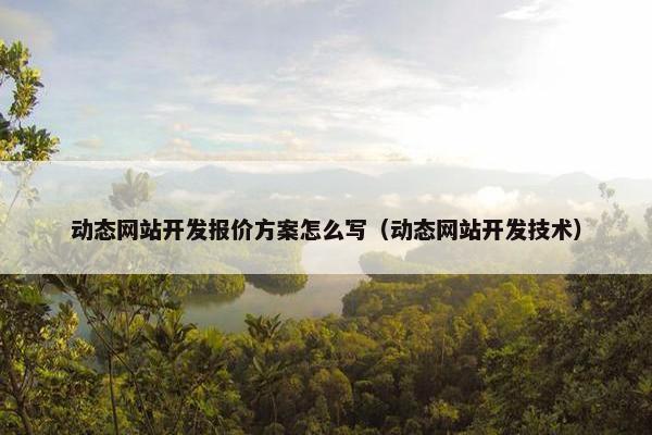 动态网站开发报价方案怎么写（动态网站开发技术）
