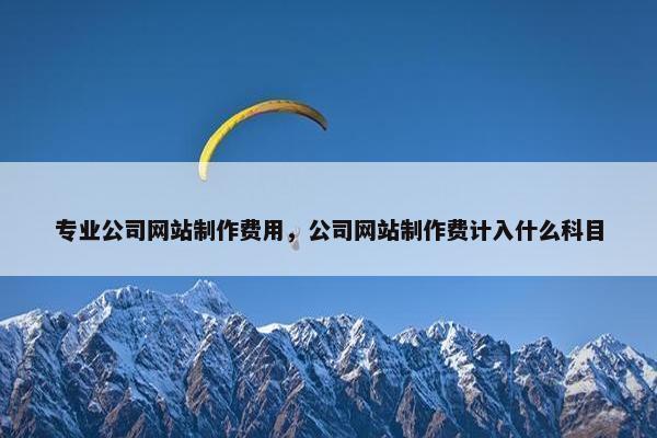 专业公司网站制作费用，公司网站制作费计入什么科目