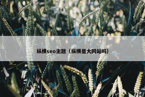 纵横seo主题（纵横是大网站吗）