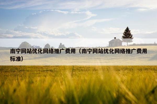 南宁网站优化网络推广费用（南宁网站优化网络推广费用标准）