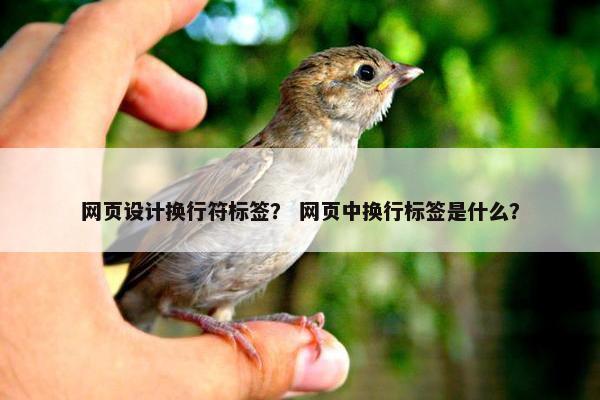 网页设计换行符标签？ 网页中换行标签是什么？
