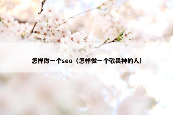 怎样做一个seo（怎样做一个敬畏神的人）