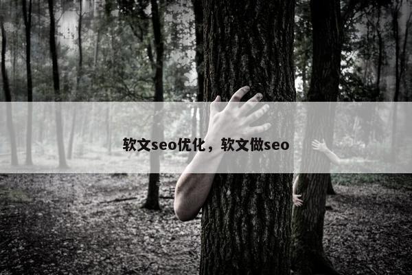 软文seo优化，软文做seo