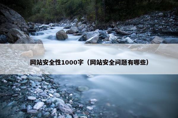 网站安全性1000字（网站安全问题有哪些）