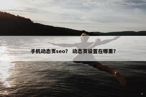 手机动态页seo？ 动态页设置在哪里？