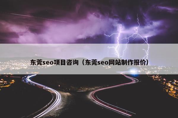 东莞seo项目咨询（东莞seo网站制作报价）