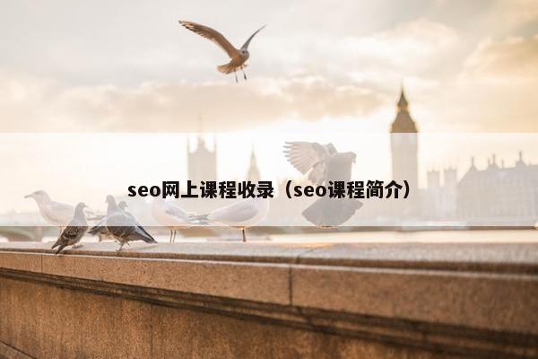 seo网上课程收录（seo课程简介）