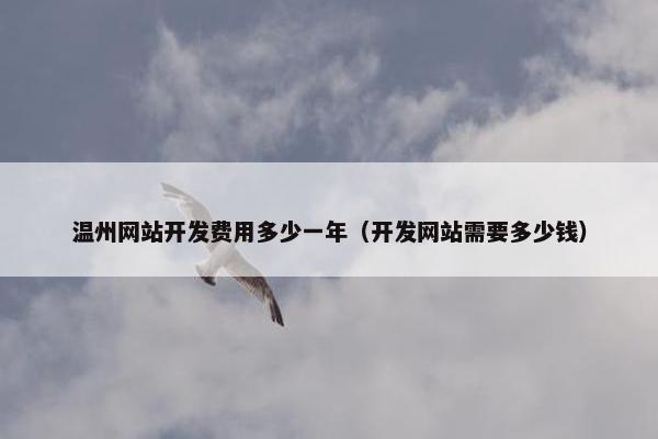 温州网站开发费用多少一年（开发网站需要多少钱）