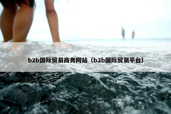 b2b国际贸易商务网站（b2b国际贸易平台）