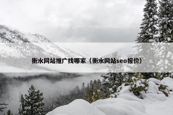 衡水网站推广找哪家（衡水网站seo报价）