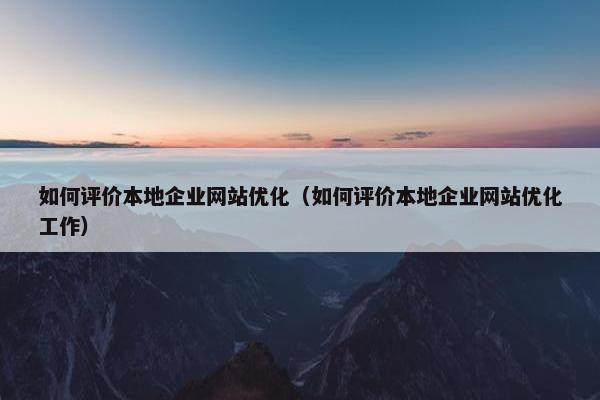 如何评价本地企业网站优化（如何评价本地企业网站优化工作）
