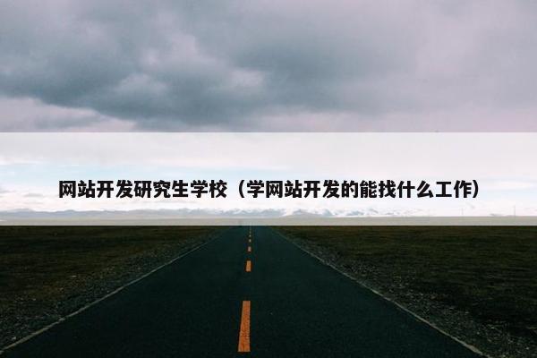 网站开发研究生学校（学网站开发的能找什么工作）