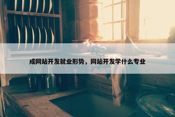 成网站开发就业形势，网站开发学什么专业