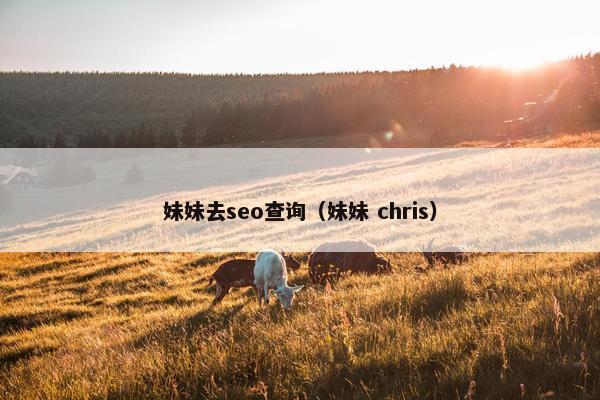 妹妹去seo查询（妹妹 chris）