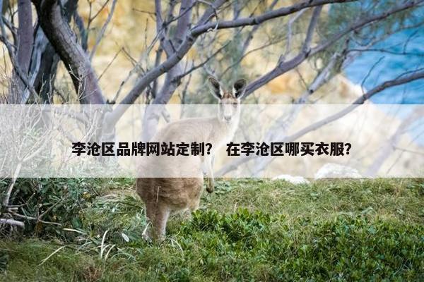 李沧区品牌网站定制？ 在李沧区哪买衣服？