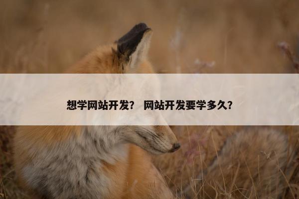 想学网站开发？ 网站开发要学多久？