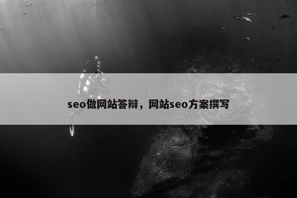 seo做网站答辩，网站seo方案撰写